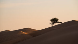 desert near al ashkharah