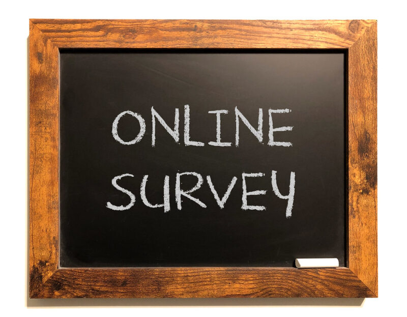 Make money with online surveys