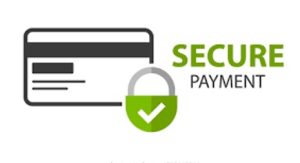 Secured Payment Options