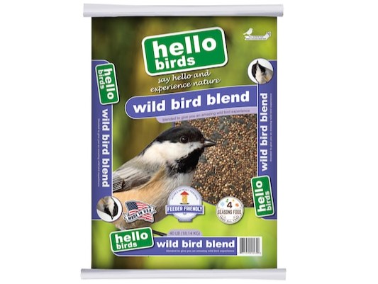 Seed For Feeding Small Birds